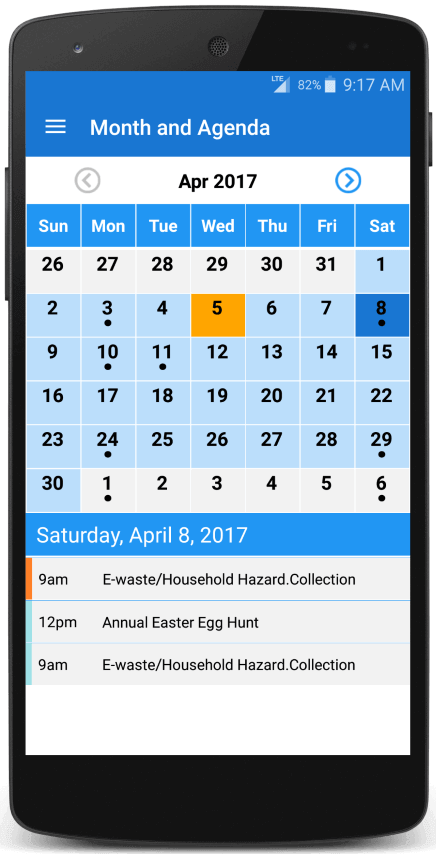 Monthly calendar view